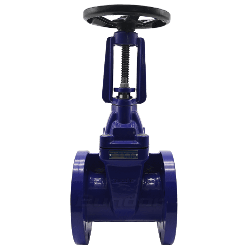 BS5163 Resilient Gate Valve1