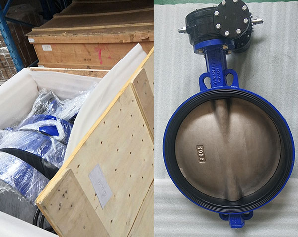 Bundor soft seat butterfly valves exported to South Africa