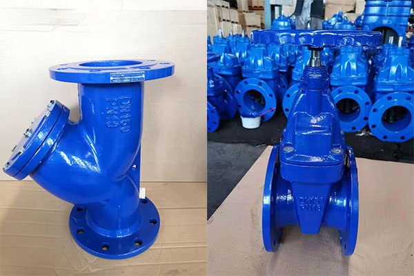 Bundor soft seal gate valves, Y Strainer exported to Cambodia