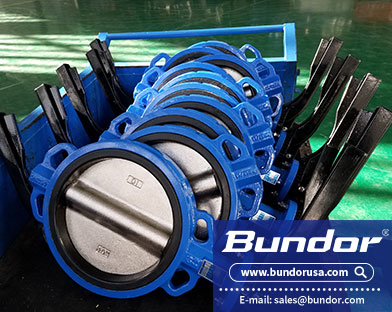 Soft seal butterfly valve features