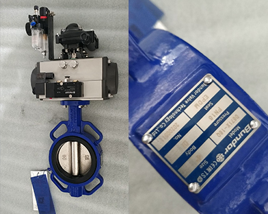 European customers purchase the Pneumatic Wafer Butterfly Valve of Bundor