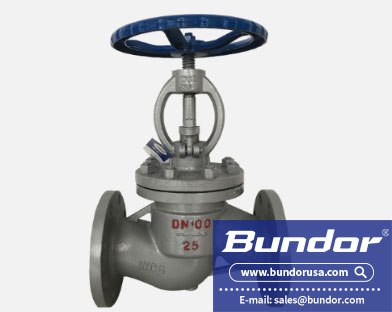 What are the characteristics of forged steel low temperature globe valves?