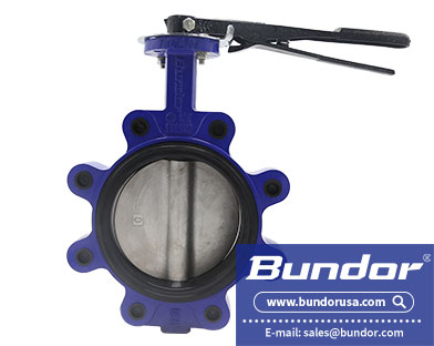 Lug butterfly valve features