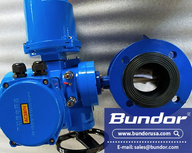 Butterfly valve function purpose