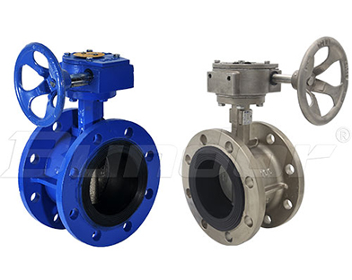 Which parts of the butterfly Valve consist of