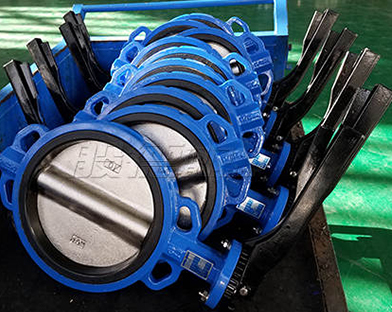 What is the role of the butterfly valve