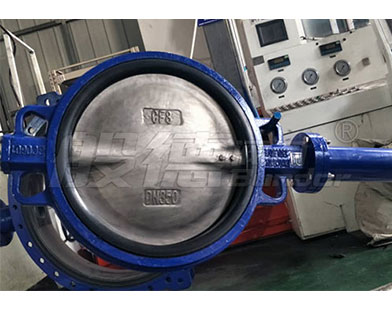 Bundor Extended Rod Wafer Butterfly Valve Exported to Malaysia