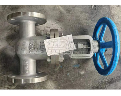 Bundor stainless steel gate valve, stainless steel globe valve, etc. exported to Indonesia